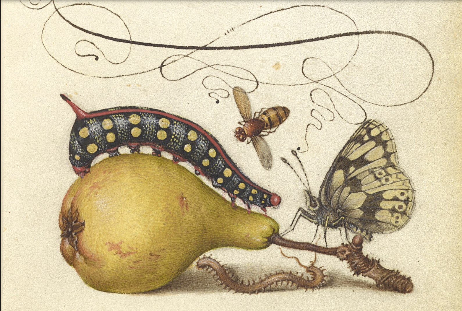Laurie’s Weekly Astrology Forecast: April 13–19, 2026